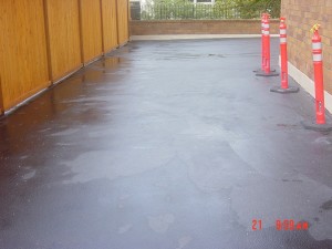 DSC01550 (2016 08 21 02 54 41 UTC)