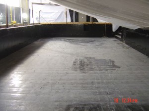 Olive8PoolLine (2016 08 21 02 54 41 UTC)