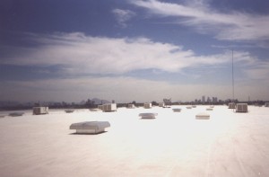 RayFlex Onion King (2016 08 21 02 54 41 UTC)